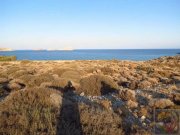 Xerokampos Süd Ost Kreta, Xerokampos Wunderschönes Grundstück ca. 7.500qm mit Meerblick Grundstück kaufen